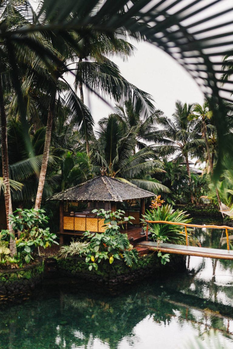 PC Controllers 2024: DigitalHub Buyer’s Guide to Gamepads